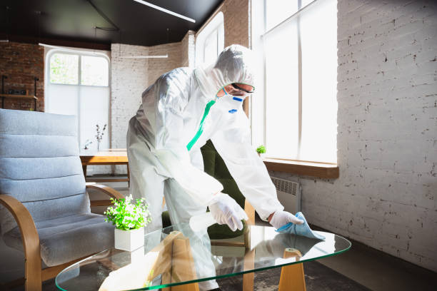 Trusted Bohemia, NY Mold Removal Services Experts